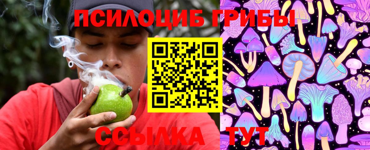 Галлюциногенные грибы ЛСД Гусев