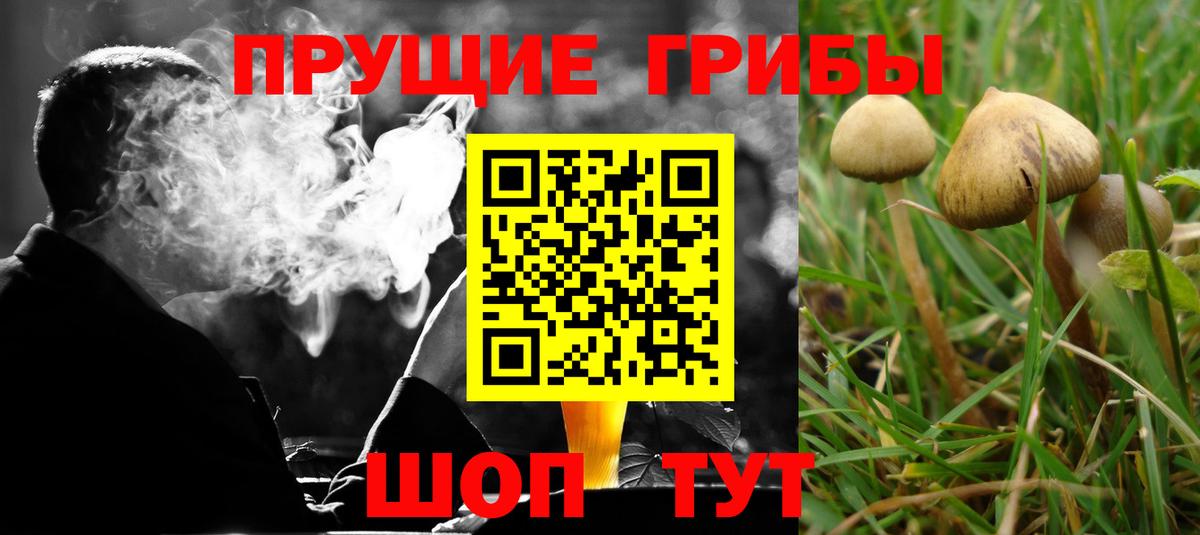 Псилоцибиновые грибы GOLDEN TEACHER  Вход с VPN  Гусев 